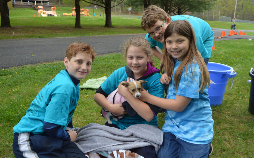 Dog Wash and Walk – May 12