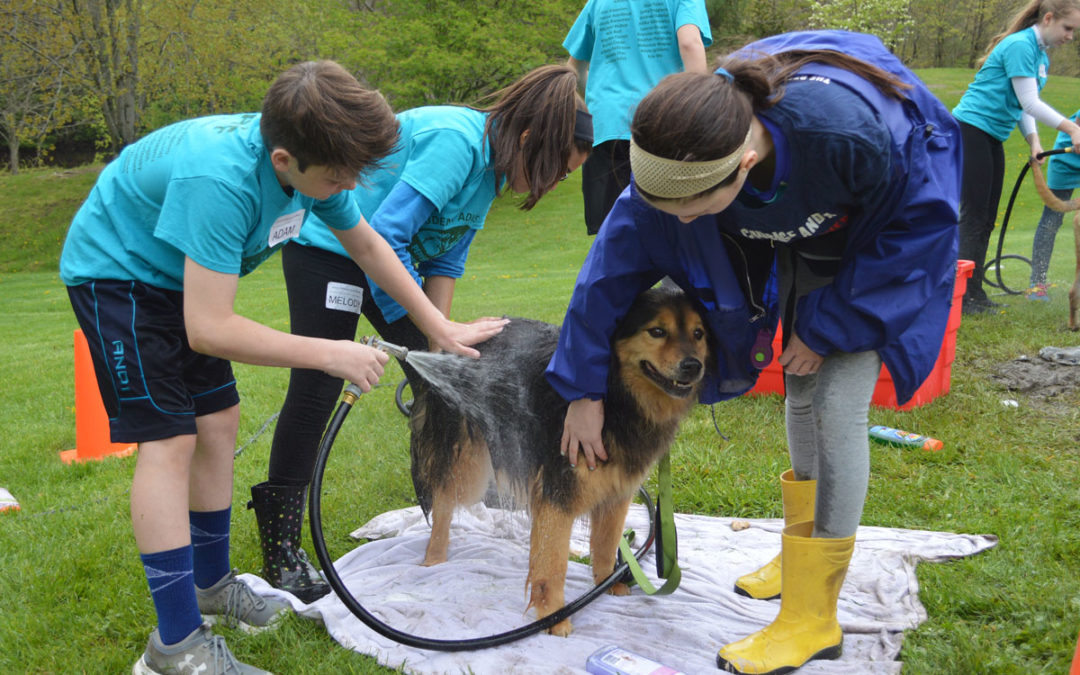 Columbia High School East Greenbush CSD