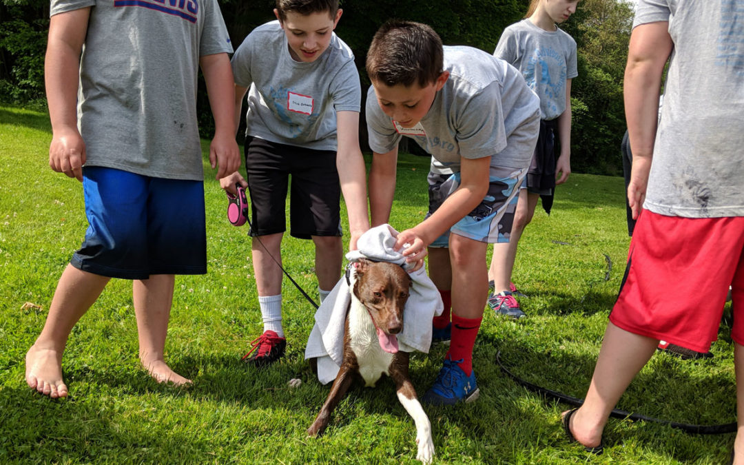 Students Raise Money for Local Animal Shelter