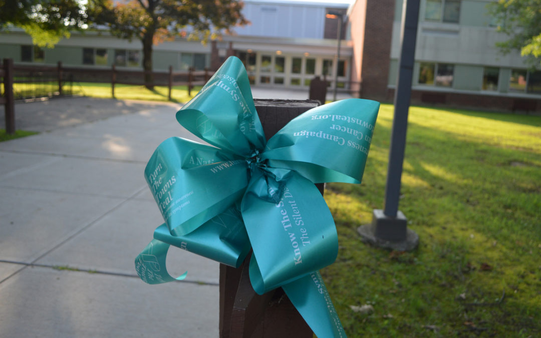 East Greenbush Turns Teal