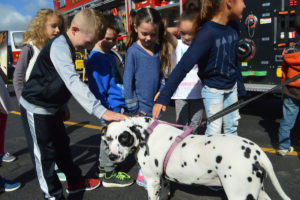 Students pet Dalmation fire dog