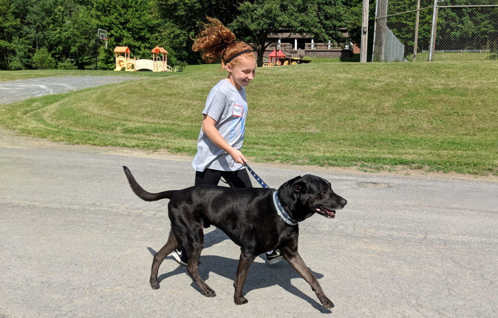 Students Raise Money for Local Animal Shelter East Greenbush CSD