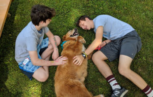 Students play with a dog