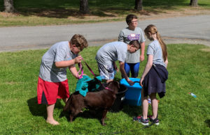 Students wash a dog