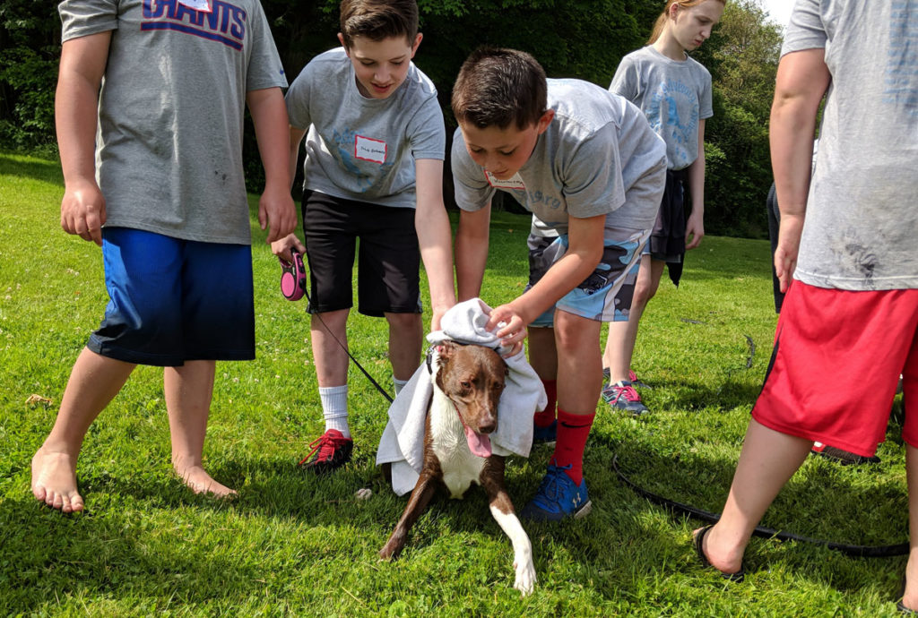 Students Raise Money for Local Animal Shelter East Greenbush CSD