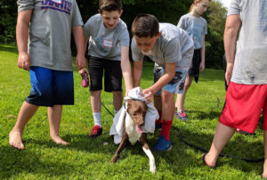 Students dry a dog with towel