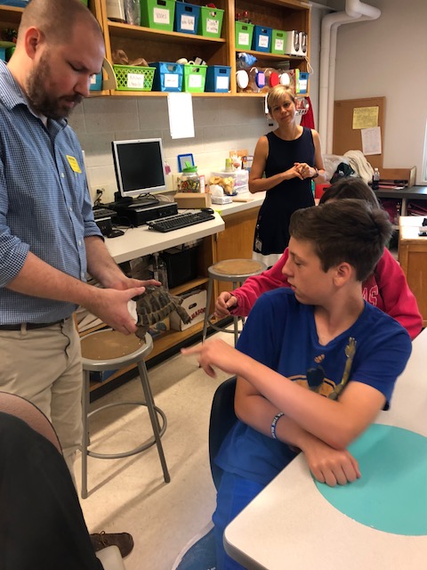 Student pets a turtle