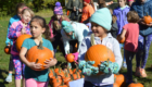 Students receive pumpkins