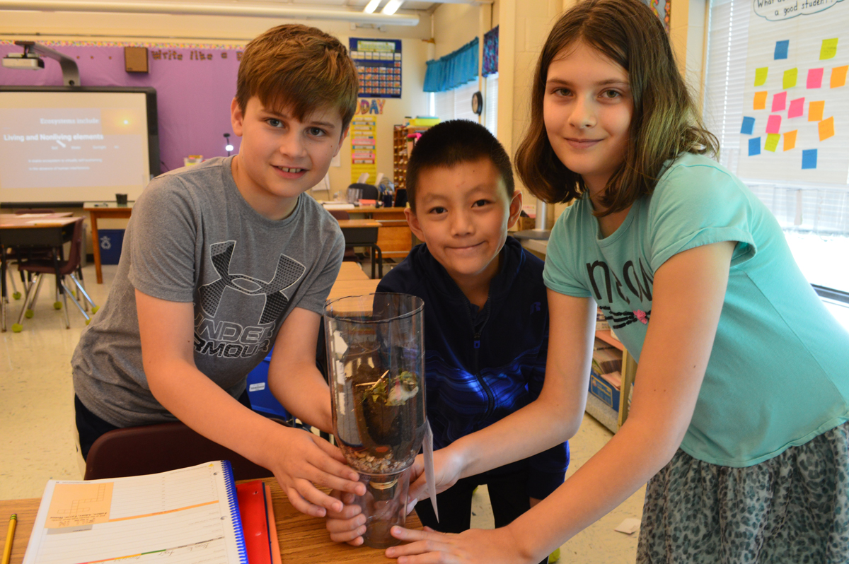 Students make an eco-column in science class