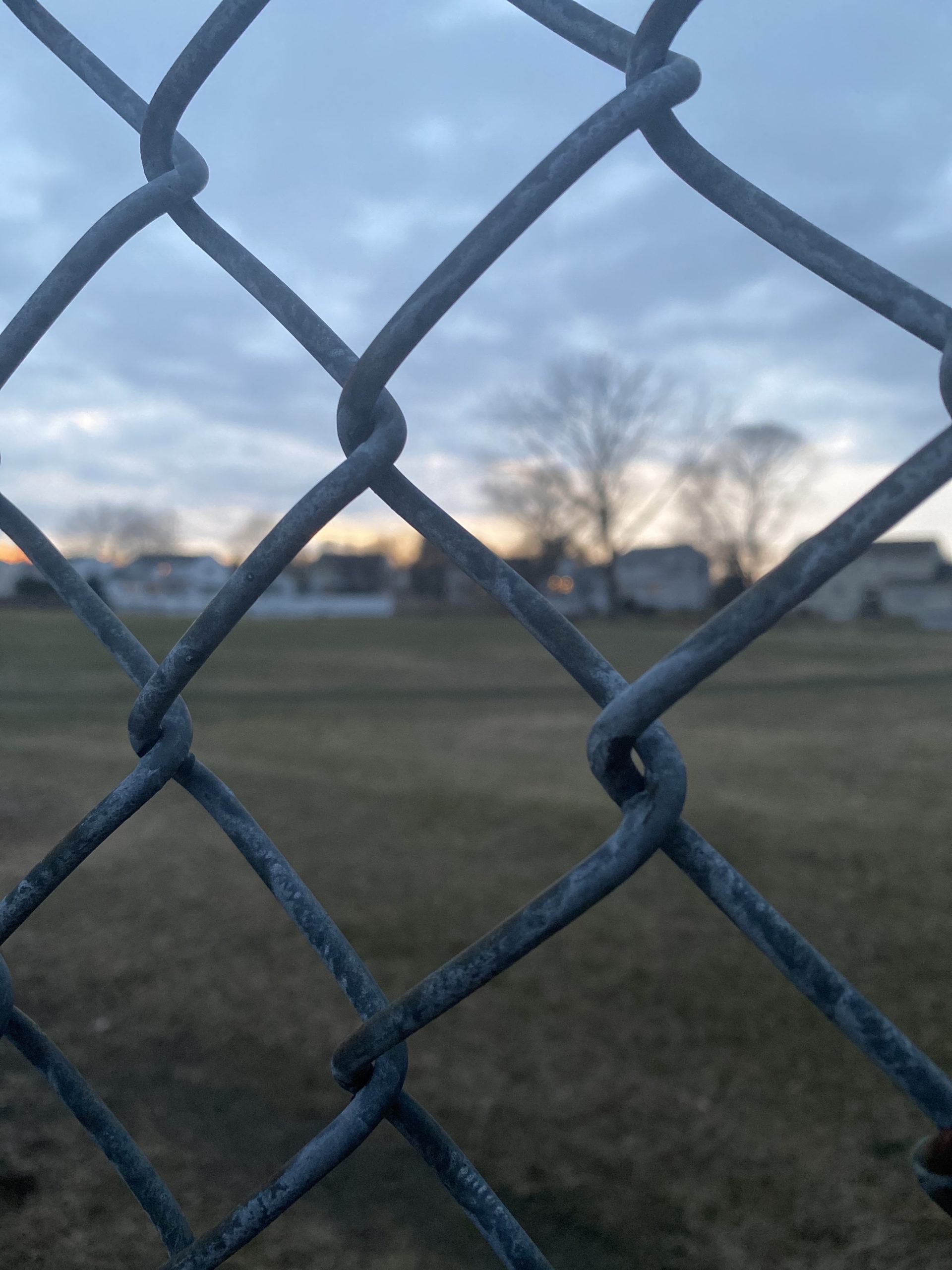 Photograph of chain link fence