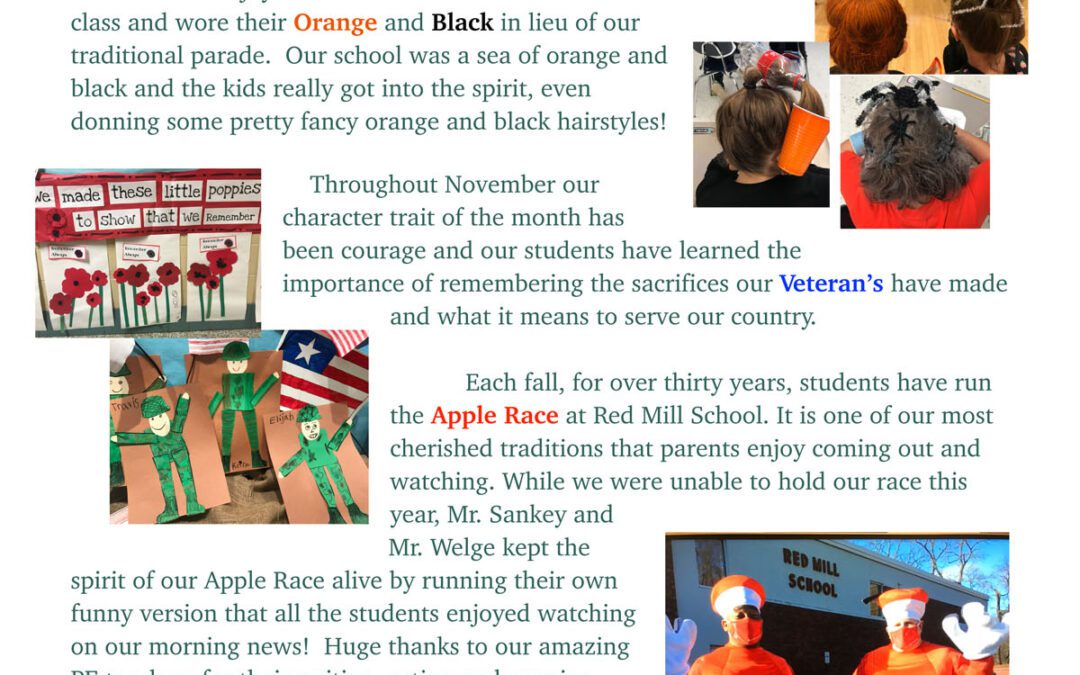 Red Mill Principal’s Newsletter – November 2020
