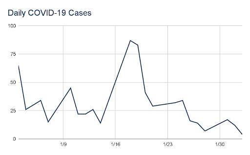 Daily COVID-19 Cases graph