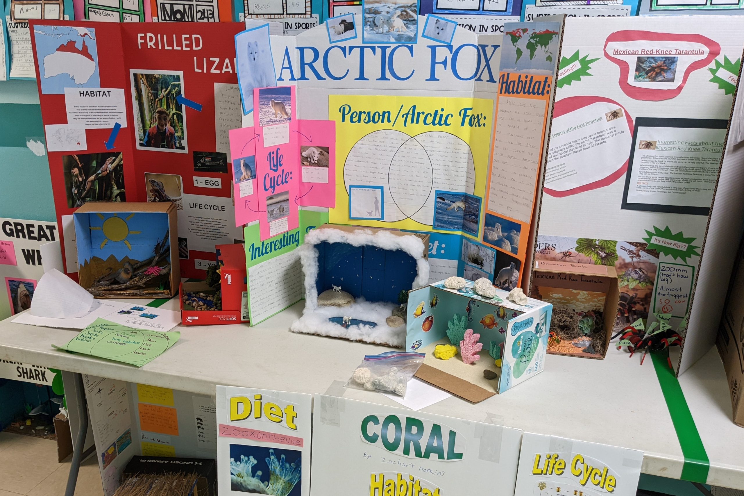 Animal Research Projects Bring Learning to Life | East Greenbush CSD