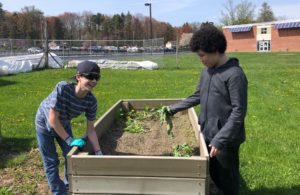 Students weed garden beds at Goff Middle School