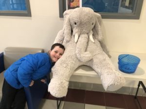A student with Veda the stuffed elephant at the East Greenbush YMCA