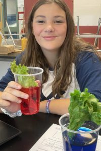 A student conducts an experiment for photosynthesis at Elevate Summer School.