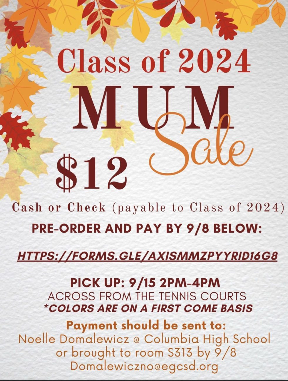 Fall Mum Sale to Benefit CHS Class of 2024 East Greenbush CSD