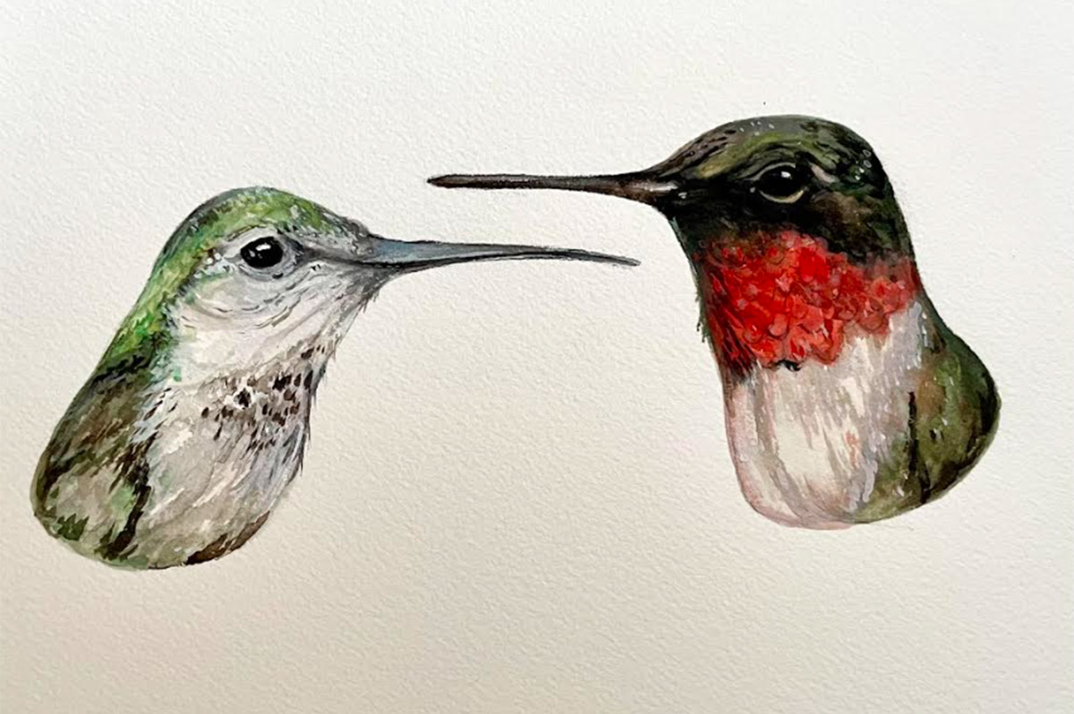 Hummingbird watercolor painting