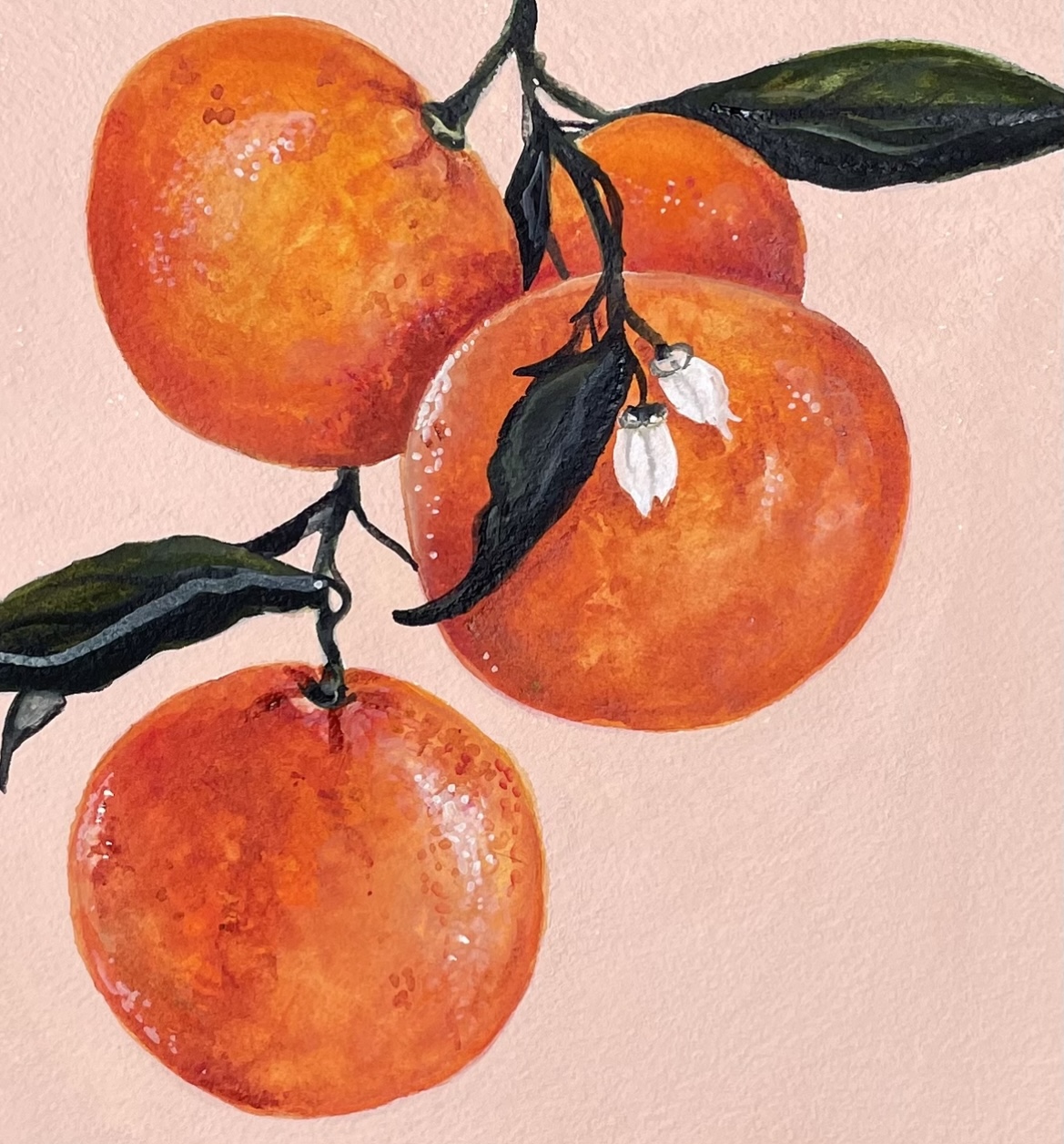 Oranges watercolor painting