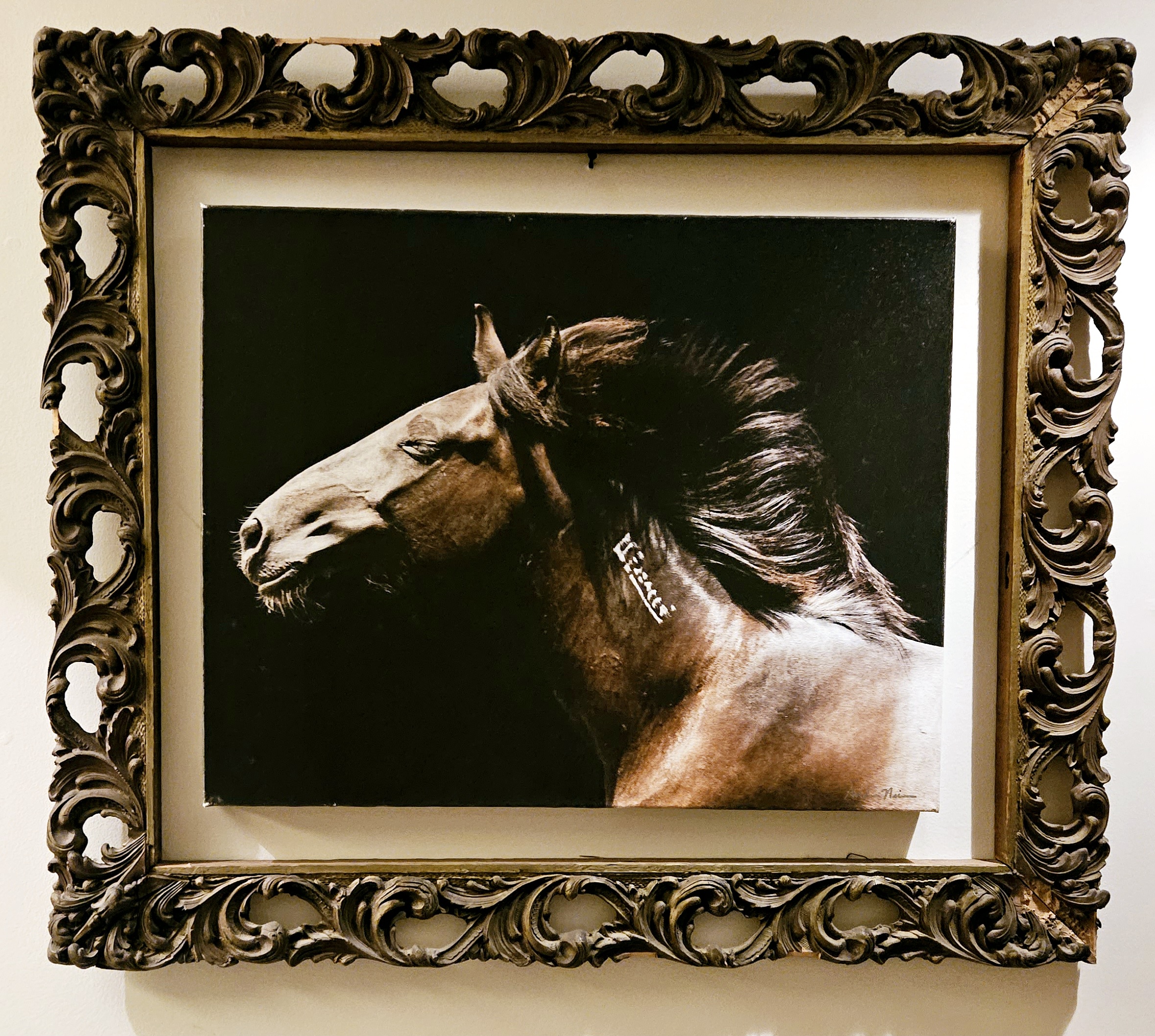 Digital photograph of a horse by Columbia art teacher Andrea Neiman