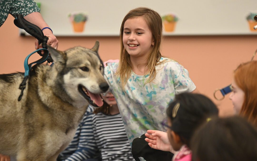 Students Learn About Sled Dogs and the Iditarod