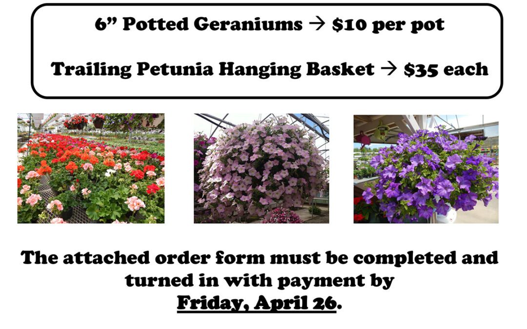 Spring Flower Sale Fundraiser to Benefit Class of 2027