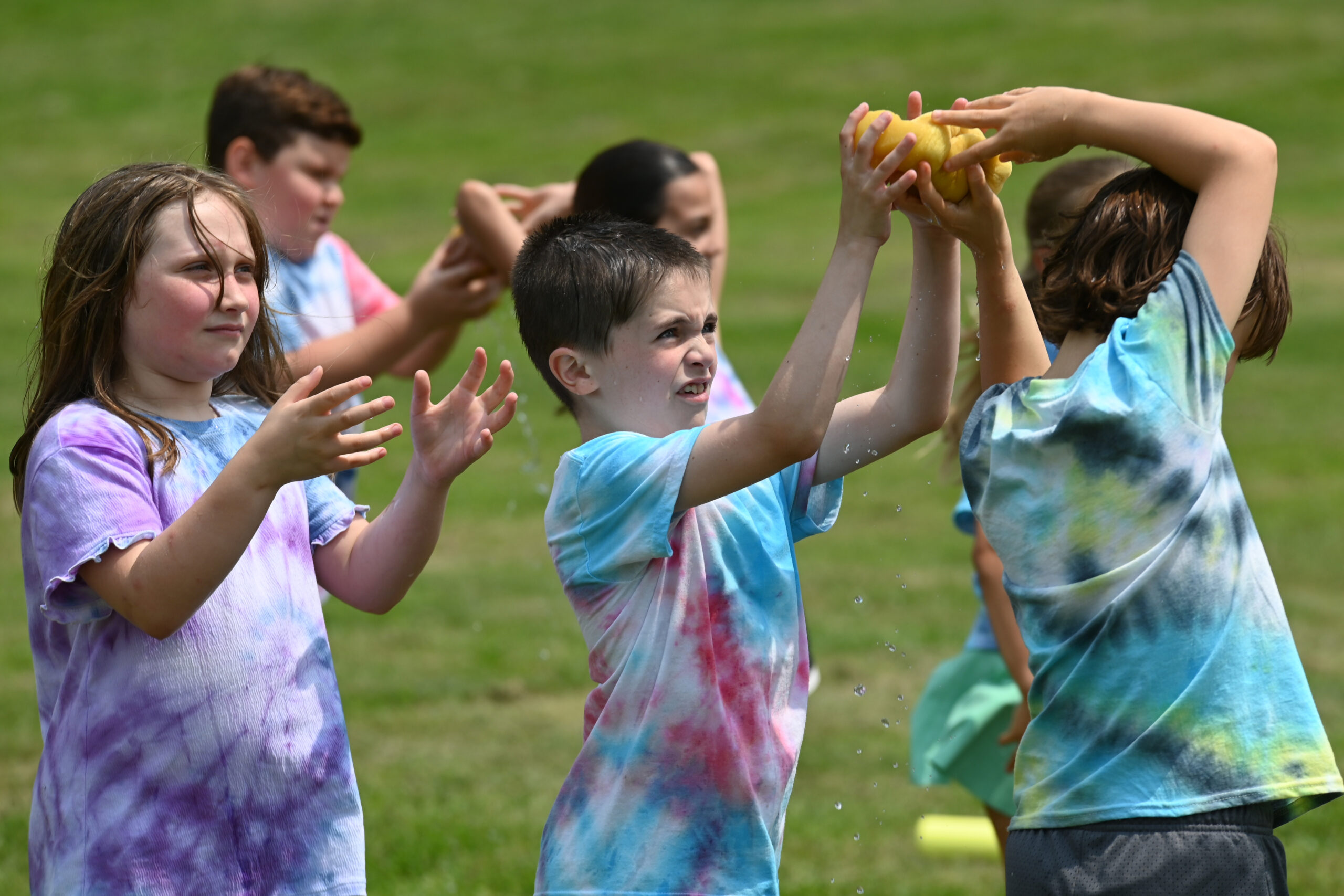 DPS Field Day