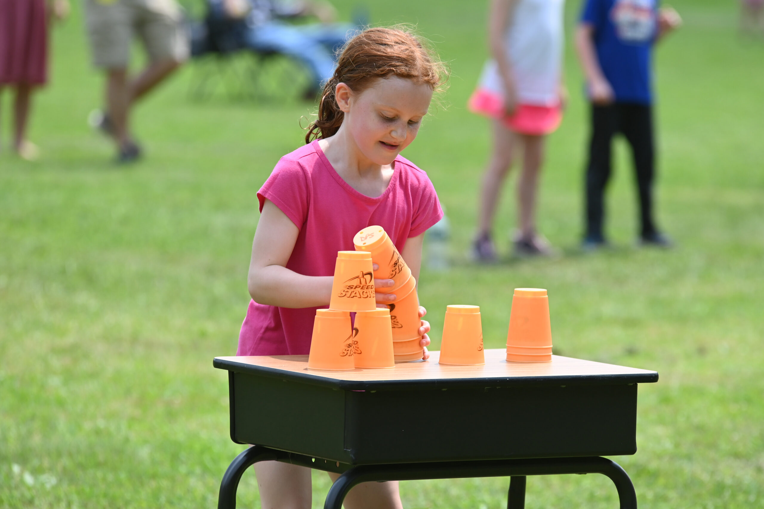 DPS Field Day