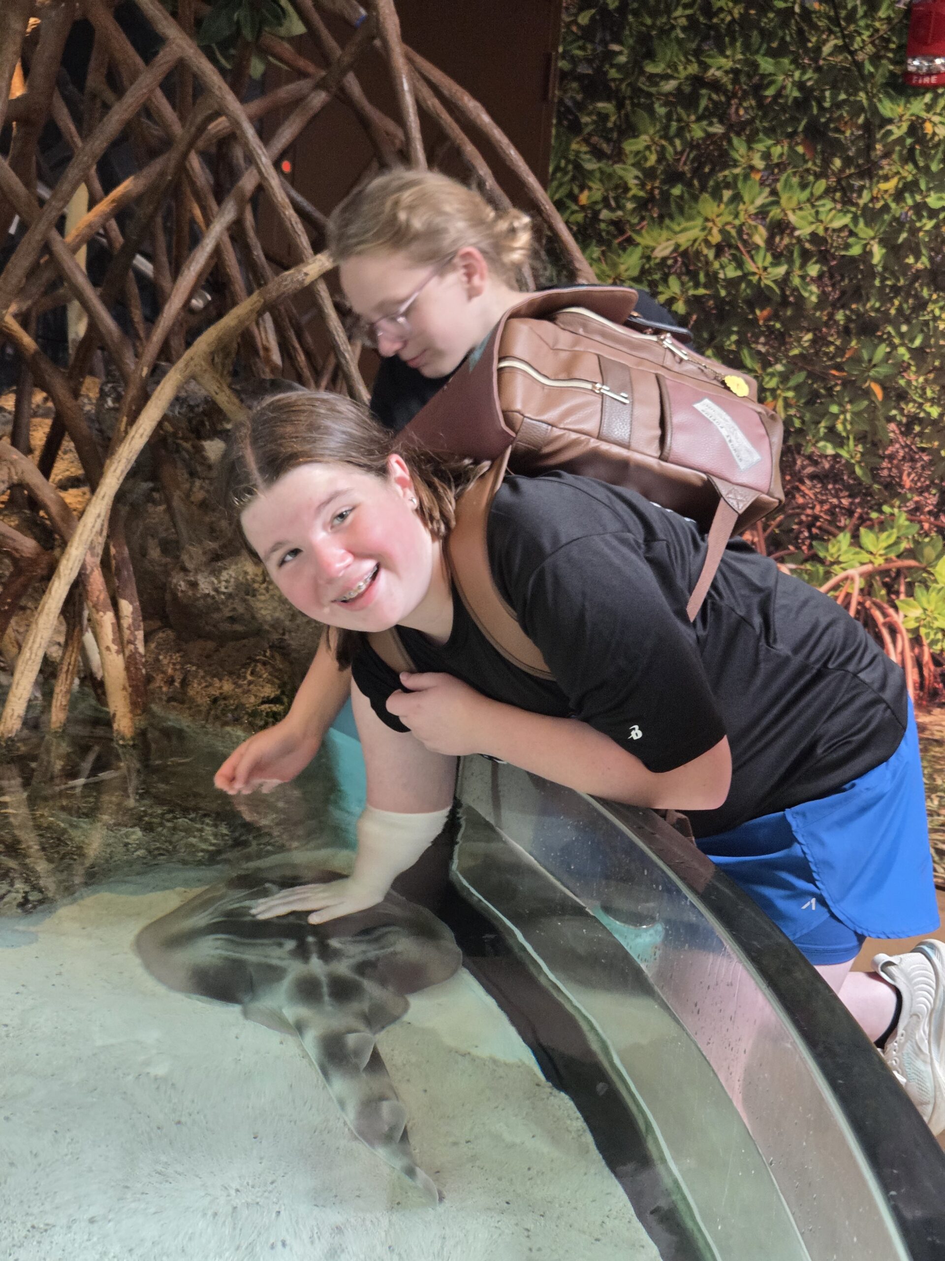 Students at the Boston Aquarium