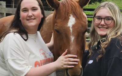 Columbia Students Clean Paddock for Retired Police Horse During Community Service Trip to Little Brook Farm